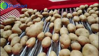 High-Efficiency Potato Packing Linepotato Sorting Machine
