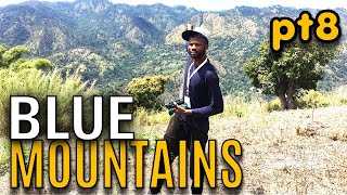 Kino In The Blue Mountain (Pt8) | EP696 | JAMAICA GOOD LIFE