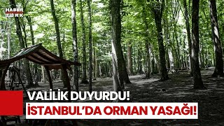 İstanbulda Orman Yasağı Girişler Yasaklandı