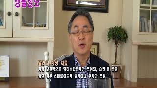 0320생활정보 알러지 수정