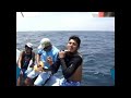 EL FARO DE BUCERIAS MICHOACAN MEXICO.. saludos para los amigos del faro..de parte del mous..