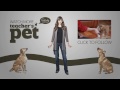dog training