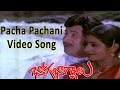 Pacha Pachani Video Song || Bhoga Bhagyalu Movie || Krishna, Sridevi