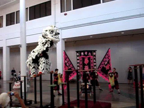 Wah Ngai Lion Dance: Team A