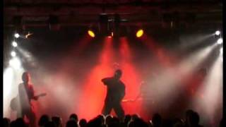 Watch Disphoria Cold Dead Light video
