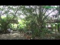 Reallatino Tours- La Quinta de SarapiquÃ, Costa Rica