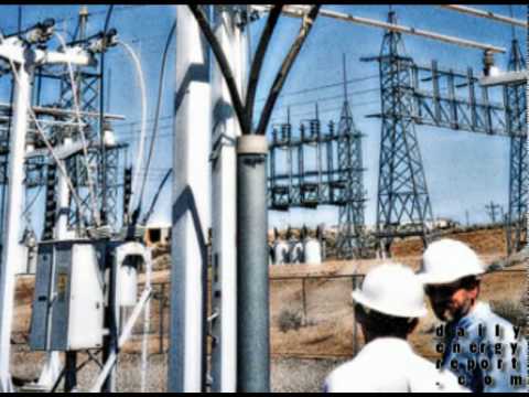 business credit peterson report server unlimited