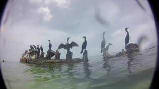 Shipwreck Diving by In Business