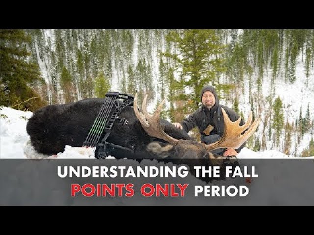 Understanding the Fall "Points Only" Period