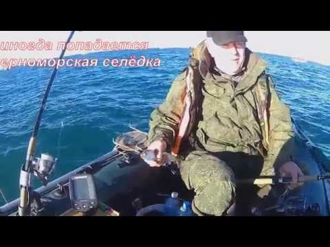 донузлав рыбалка на карпа донузлав рыбная ловля держи карпа