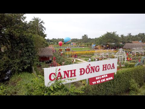 CÁNH ĐỒNG HOA đẹp ngỡ ngàng như Đà Lạt tại TP Hồ Chí Minh - Vỡ trận ngày đầu năm mới 2021