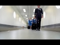 Airline Hires ADORABLE DOG To Run Lost & Found | What's Trending Now