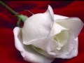 Te Llegará Una Rosa Video preview