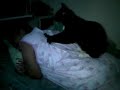 Pijat Pijat Kucing Hitam Anak Nyenye Ajuy images Pijat Pijat Kucing Hitam Anak Nyenye Ajuy