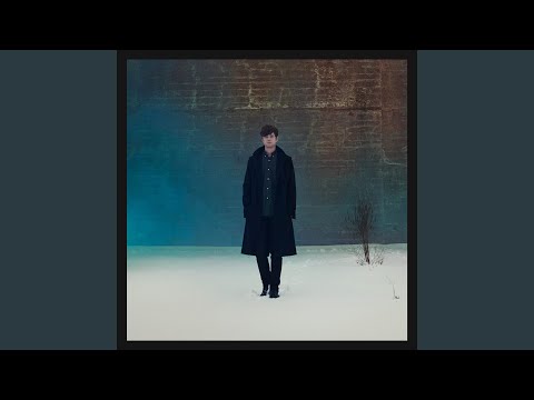 Digital Lion Video