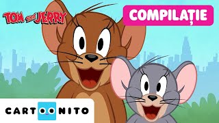 Urmărire Sălbatică În New York Mega Maraton Tom Și Jerry În New York Cartoonito