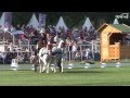 Zoltan Lazar Dressage Topolcianky 2013