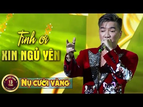 Tình Ơi Xin Ngủ Yên - Đàm Vĩnh Hưng | Liveshow Bởi Vì Yêu