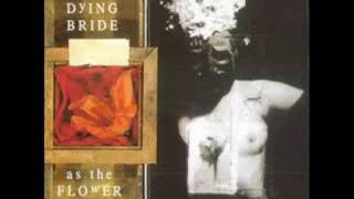 Watch My Dying Bride Vast Choirs video