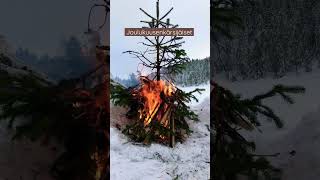 Kuusenkärsijäiset