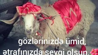 Qurban Bayrami Statuslari Whatsapp Status Videoları