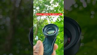 Bokeh Effect Of Apexel 100Mm Macro Lens