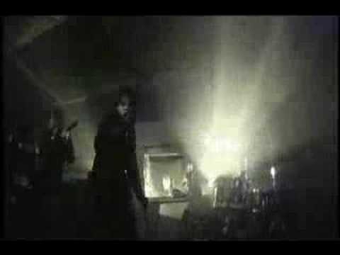 Volcano Video