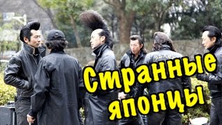 Поселение бомжей. Чоткие элвисы. Жизнь в парке