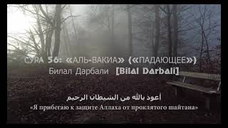 СУРА 56- «АЛЬ-ВАКИА» («ПАДАЮЩЕЕ»)  Билал Дарбали  [Bilal Darbali] بلال دربالي