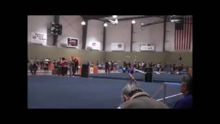 Hannah Oliveros Level 9 State 2014 Floor