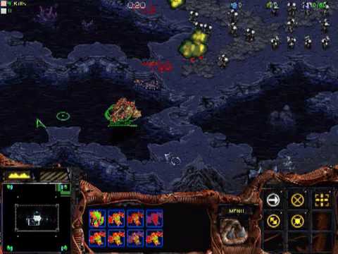 Jaedong's Muta Micro Jaedong's Muta Micro