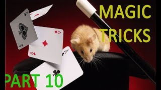Best Magic Tricks 2019 - Best Magic Vines Ever-Part 10