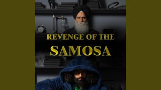 Revenge Of The Samosa Slowed Down Reverb