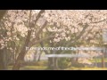 Ailee – SAKURA (Full Ver.) [Lyric Video]