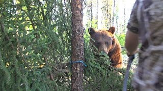 'Pretty Close' Full Length Hunt