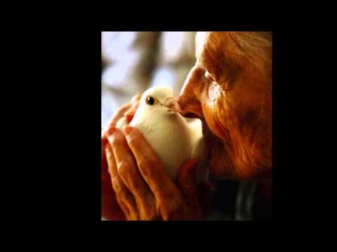Like a Sparrow Video