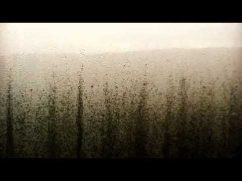 Volonta' Video