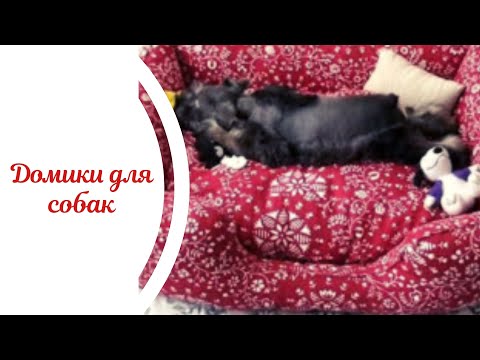 Лежанка для собаки из свитера своими руками Лежанка для собаки из свитера своими руками