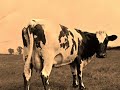 Pink Floyd - 1970 - Atom Heart Mother