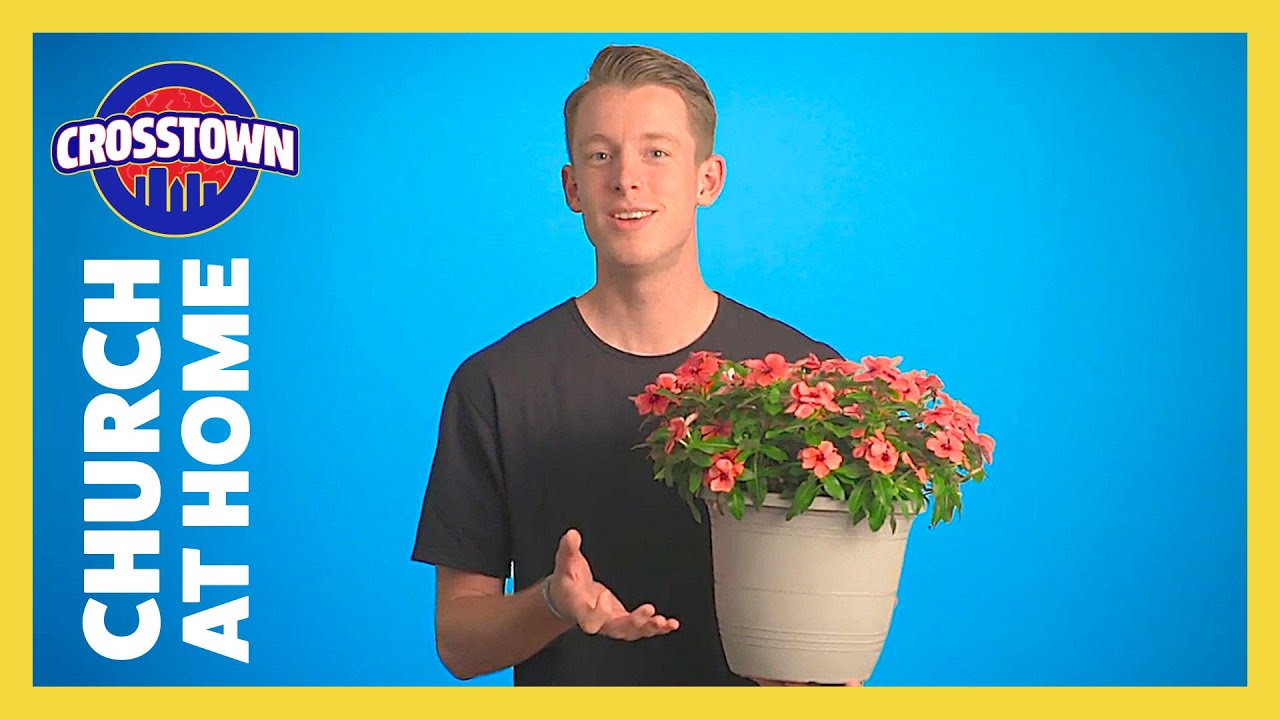 Church at Home: Crosstown | Naaman Is Healed | LifeKids Online