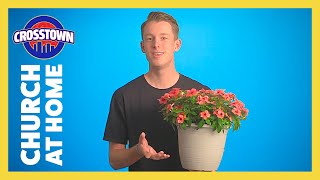 Church at Home: Crosstown | Naaman Is Healed | LifeKids Online