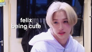 just a bunch of clips of felix being cute