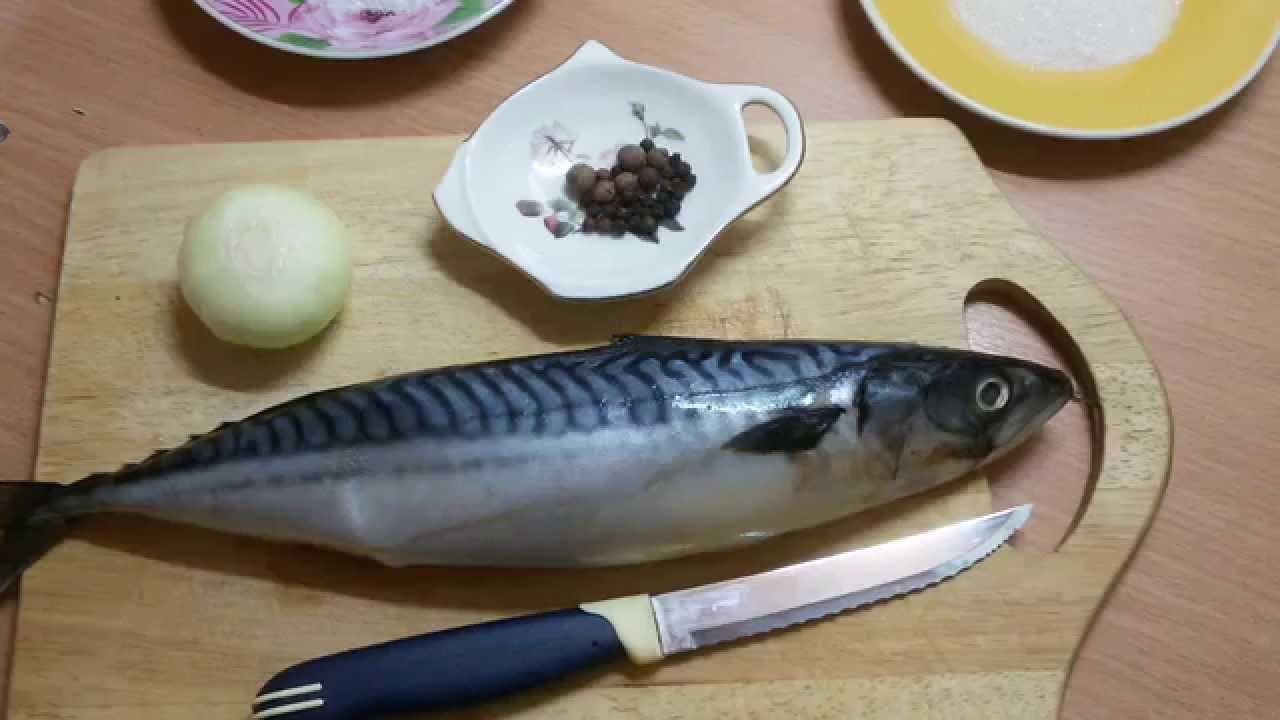 Как домашних условиях засолить скумбрию в домашних условиях Как домашних условиях засолить скумбрию в домашних