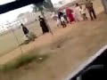 9hab taza