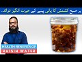 Kishmish Ka Pani Ke Faide/Fayde | Benefits Of Raisin/Dried Grape Water in Urdu | Dr. Ibrahim