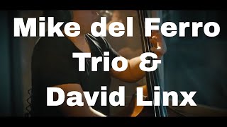 Mike del Ferro Trio & David Linx | Lifetimes such as These | Video |