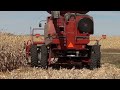Case-IH 2388 Combine with Geringhoff 830 Corn Head and Brent 674 Grain Cart Fall Harvest Corn 2012