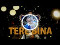 Tere Bina (Reprised) | Harrdy Sandhu | Mahi NRI  | Latest Punjabi Song