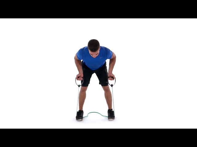 Watch Exercise: Bent Over Rows on YouTube.