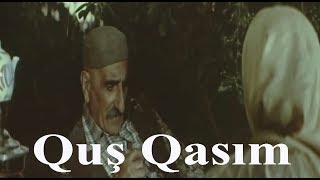 Quş Qasım - WhatsApp üçün statuslar (\